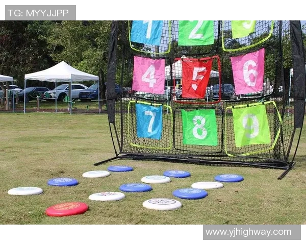 武汉飞盘队逆袭之路：从挑战到革新全景探秘